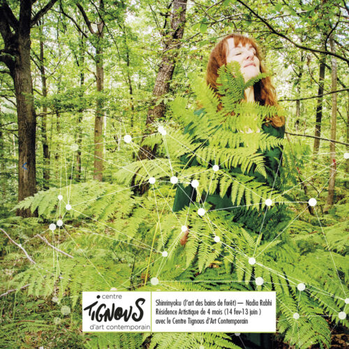 Installation murale Shinrinyoku par Nadia Rabhi - Mur Pignon Montreui