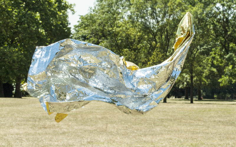 Instinct de survie - Nadia Rabhi