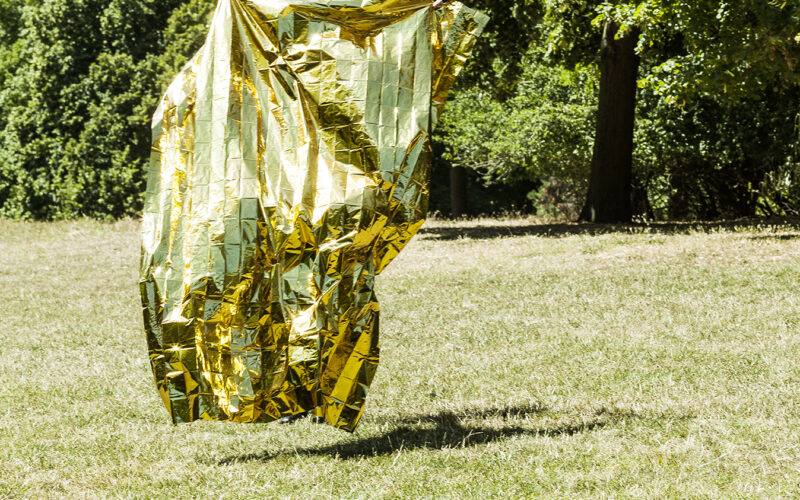 Instinct de survie - Nadia Rabhi