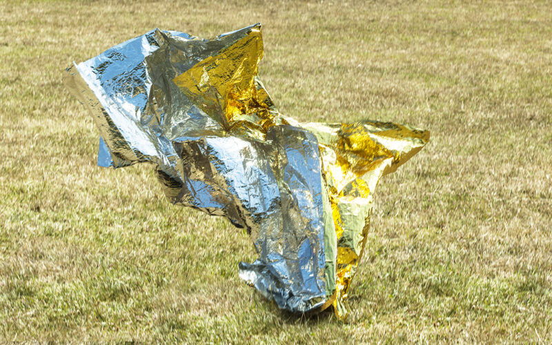 Instinct de survie - Nadia Rabhi