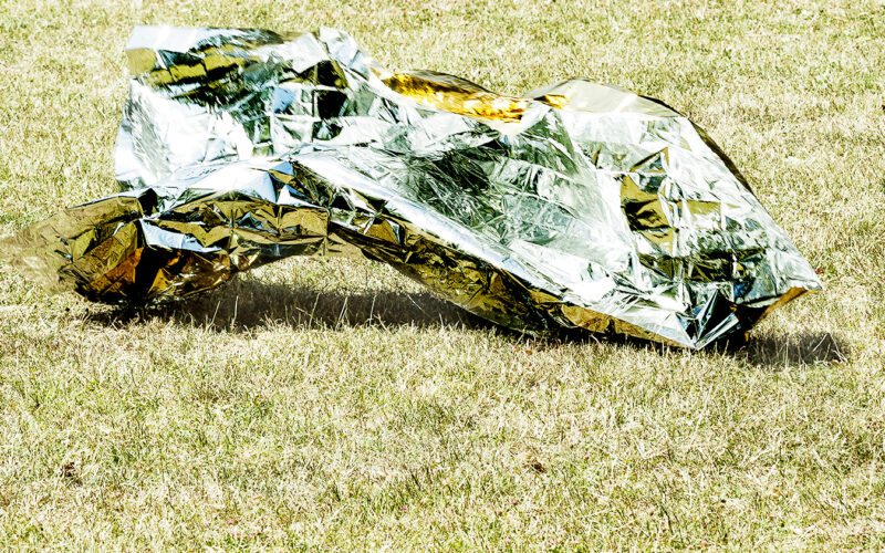 Instinct de survie - Nadia Rabhi