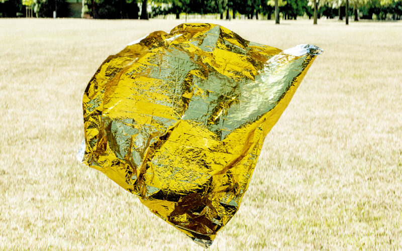 Instinct de survie - Nadia Rabhi