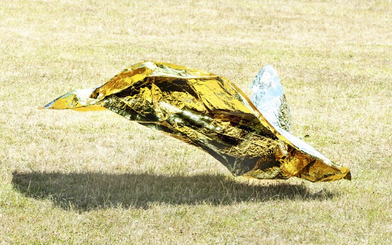 Instinct de survie - Nadia Rabhi