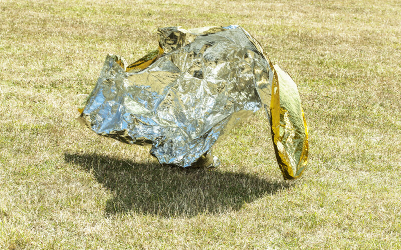 Instinct de survie - Nadia Rabhi