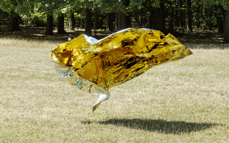 Instinct de survie - Nadia Rabhi