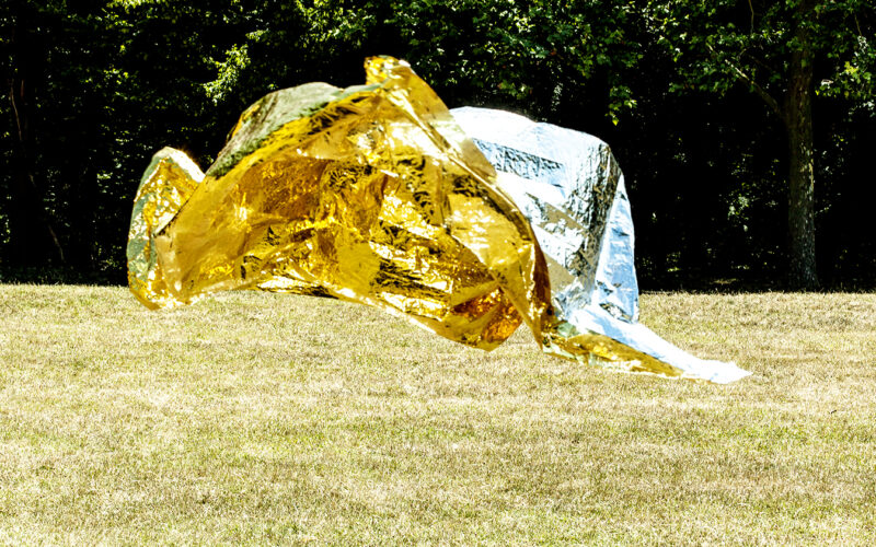 Instinct de survie - Nadia Rabhi