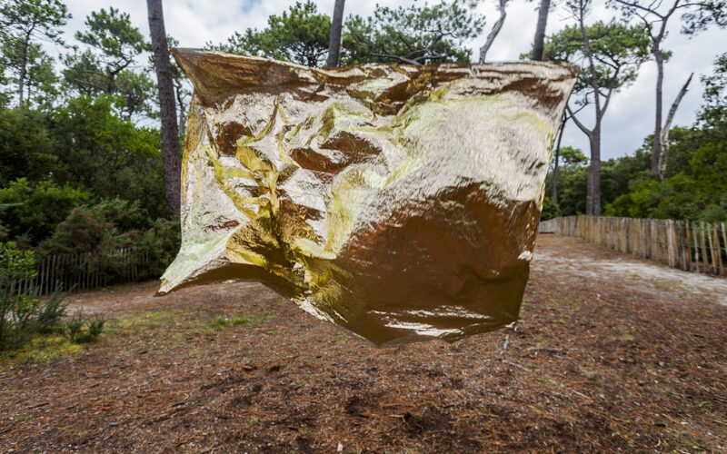 Instinct de survie - Nadia Rabhi