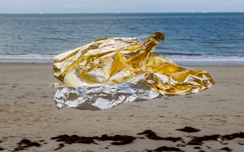 Instinct de survie - Nadia Rabhi