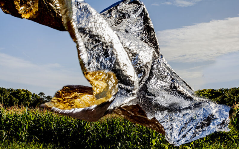 Instinct de survie - Nadia Rabhi