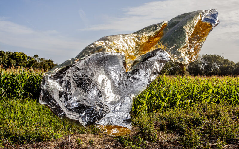 Instinct de survie - Nadia Rabhi