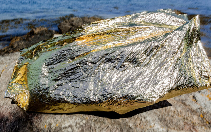 Instinct de survie - Nadia Rabhi