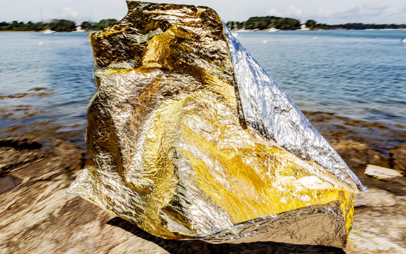 Instinct de survie - Nadia Rabhi