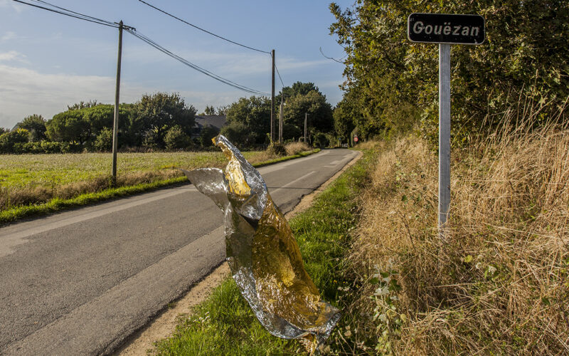 Instinct de survie - Nadia Rabhi