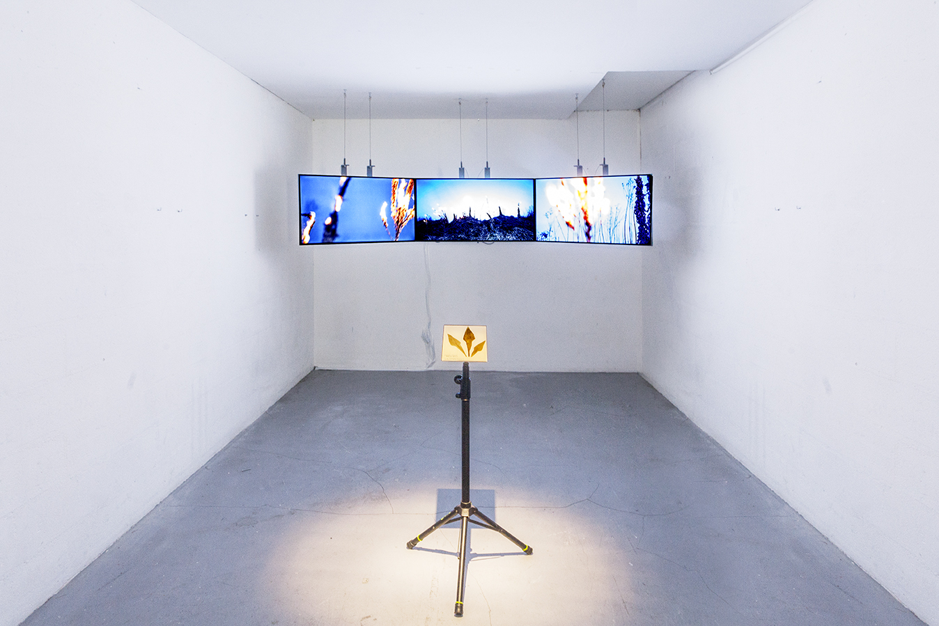 karolina freino - ©nadia rabhi 08