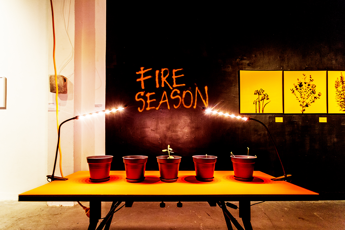 maria roszkowska - ©nadia rabhi 04