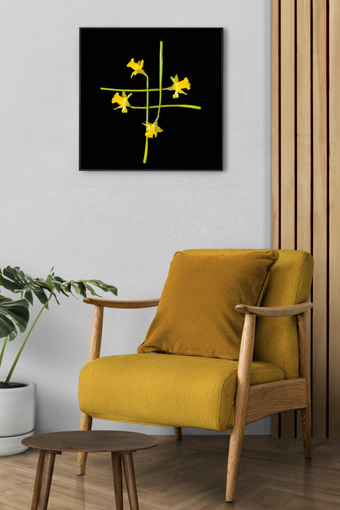 Print Daffofils by Nadia Rabhi