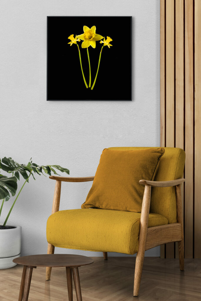 Print Daffofils by Nadia Rabhi