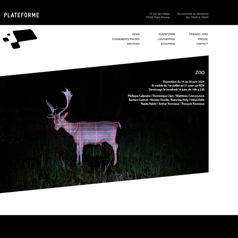 Exposition Zoo Galerie Plateforme - Nadia Rabhi