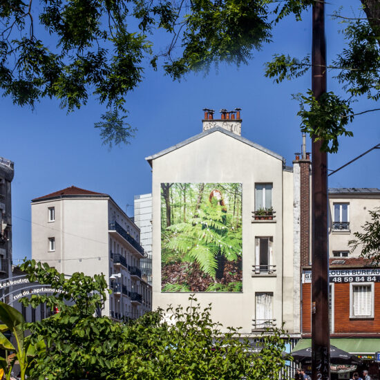 Installation murale Shinrinyoku par Nadia Rabhi - Mur Pignon Montreui
