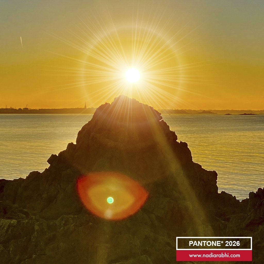 Carte de vœux Nadia Rabhi