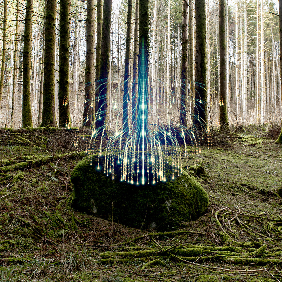 Ex-Voto, Les Vosges par Nadia Rabhi