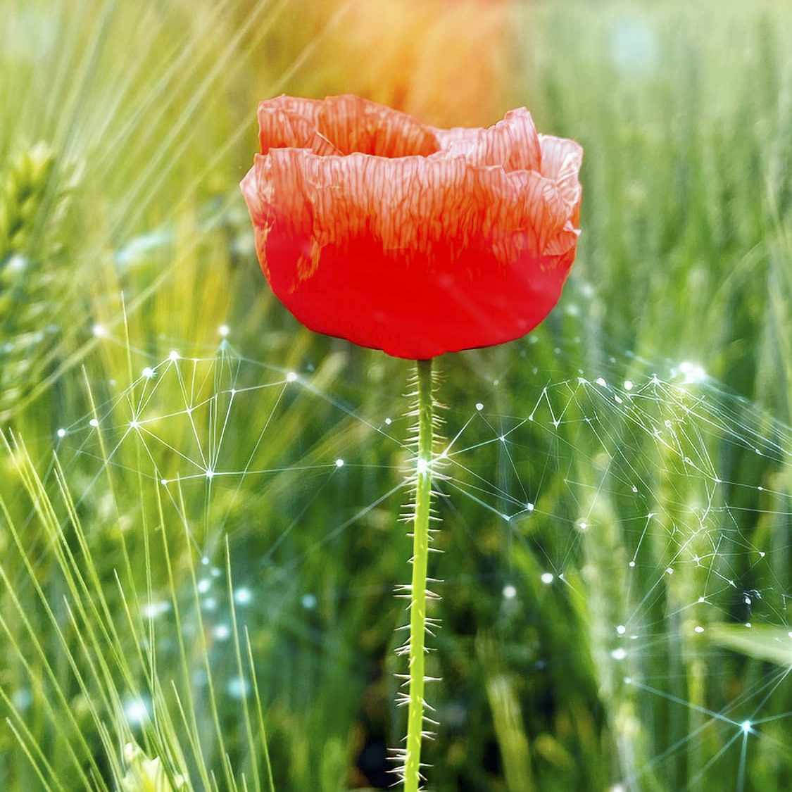 Blog list featured image