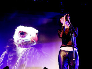 Archive Régine Cirotteau 2