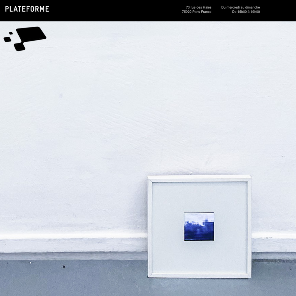 Vue globale de l'exposition ZOO Galerie Plateforme