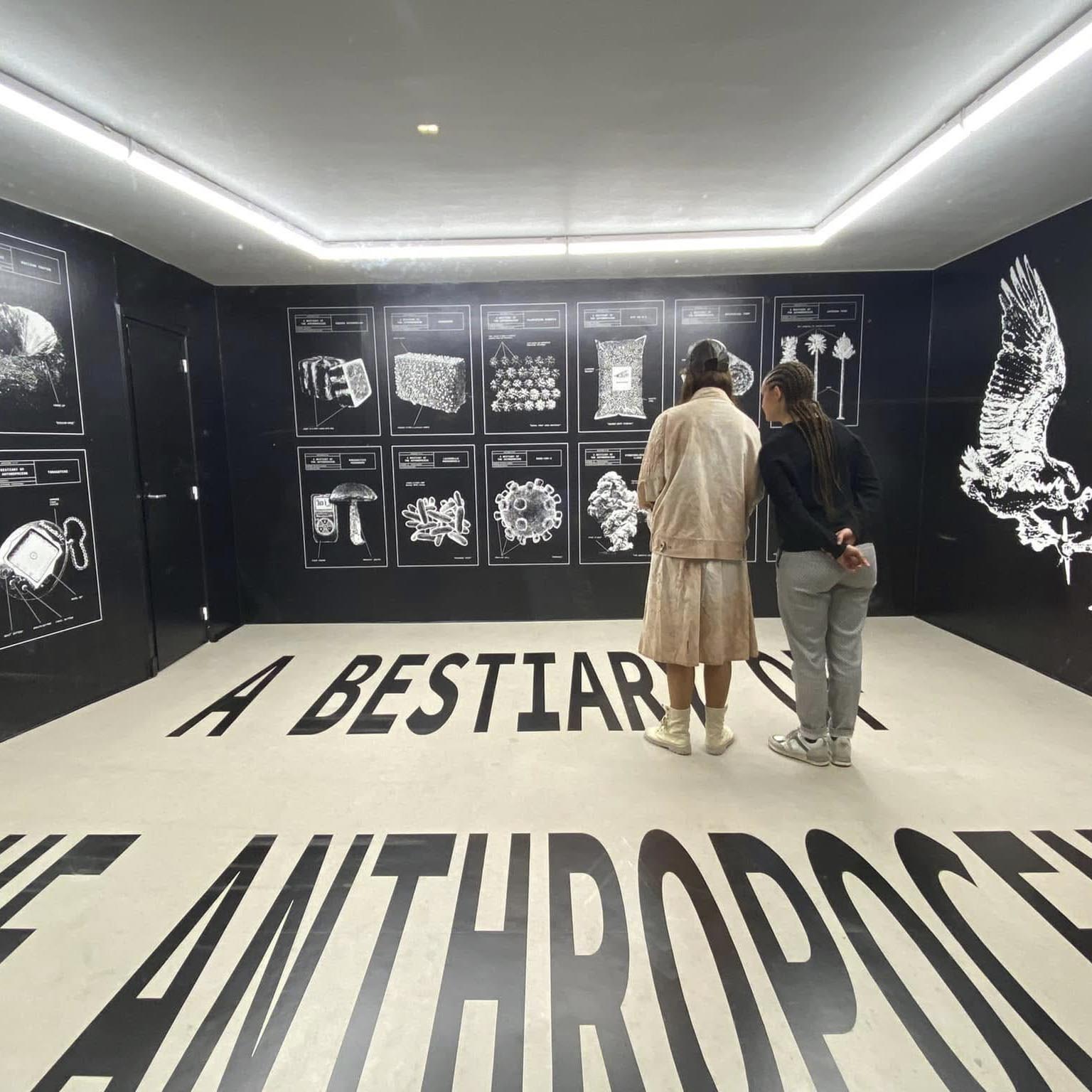 Photographe reproduction d'art - Contenu vidéo Nadia Rabhi